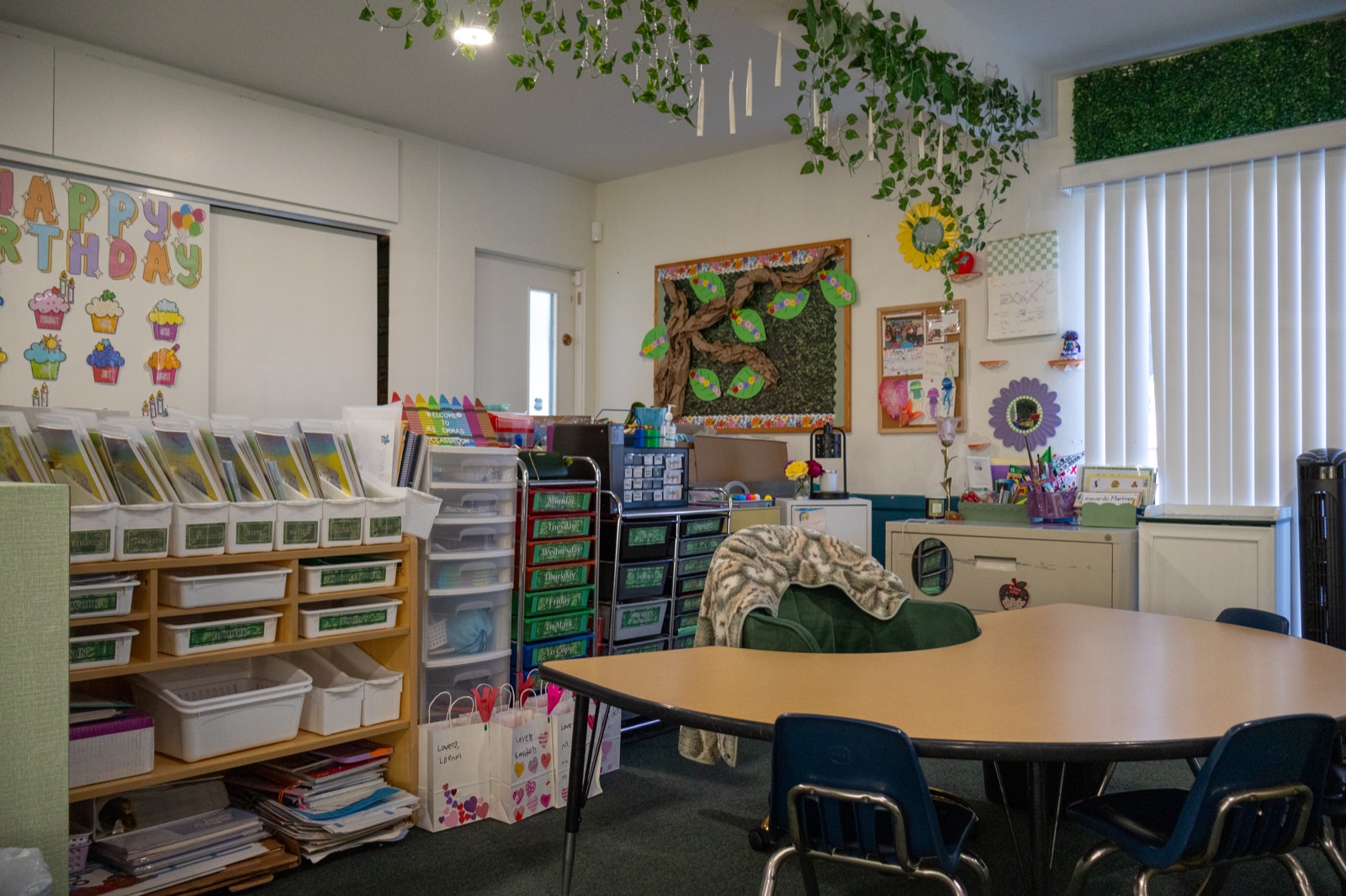 Rising Roots classroom activity